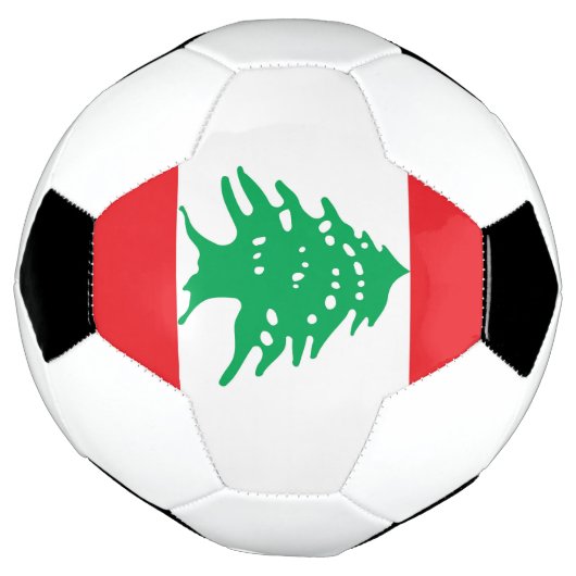 Drapeau libanais (Tourné)