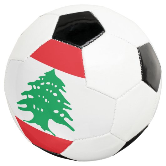 Drapeau libanais (3/4)