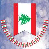 Drapeau libanais et bannières du Parti Liban / Mar