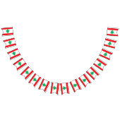 Drapeau libanais et décorations de fête au Liban / (Tout)