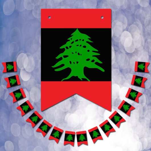 Drapeau libanais inversé noir, bannière du parti l