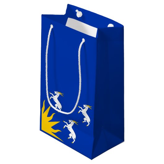 Drapeau Merionethshire petit sac cadeau (Devant Angle)