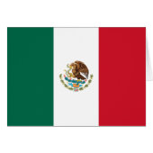 Drapeau mexicain (Devant horizontal)