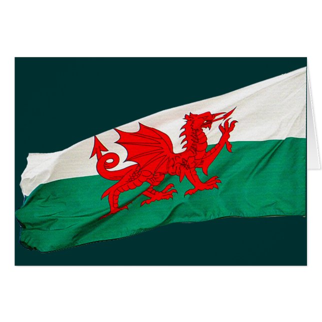 Drapeau national du Pays de Galles, Le Dragon Roug (Devant horizontal)