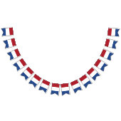 Drapeau néerlandais (Tout)