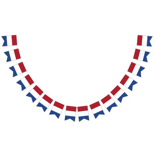 Drapeau néerlandais (Tout)