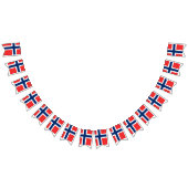 Drapeau norvégien (Tout)