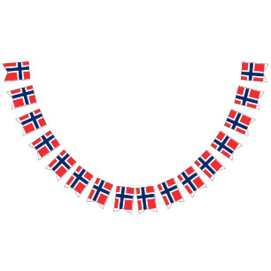 Drapeau norvégien