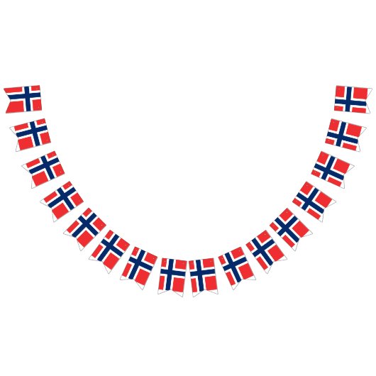 Drapeau norvégien (Tout)