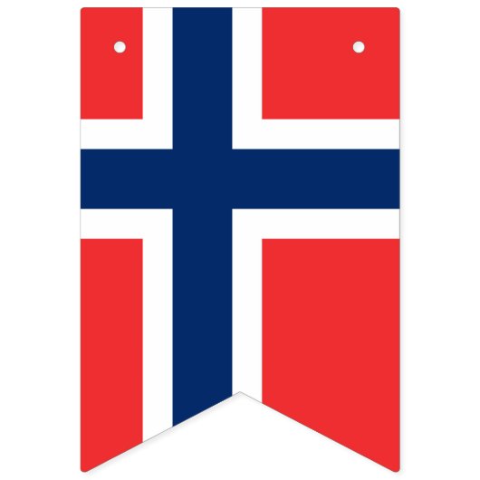 Drapeau norvégien (Premier drapeau)