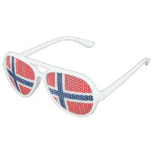Drapeau norvégien des lunettes de soleil (Angle)