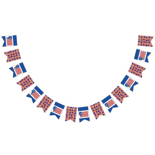 Drapeau Patriotique Rouge Blanc Bleu Américain (Tout)