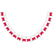 Drapeau polonais (Tout)