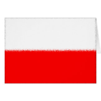 Drapeau polonais