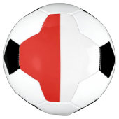 Drapeau polonais (Tourné)