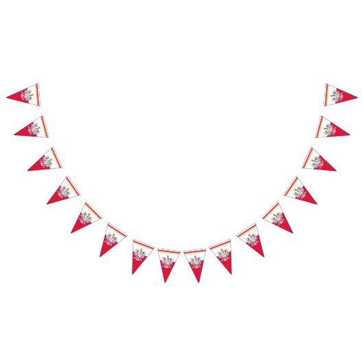 Drapeau polonais et Parti Pologne Aigle bannières  (Tout)