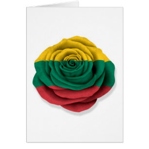 Drapeau rose de Lithuanien sur le blanc