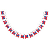 Drapeau Slovaquie (Tout)