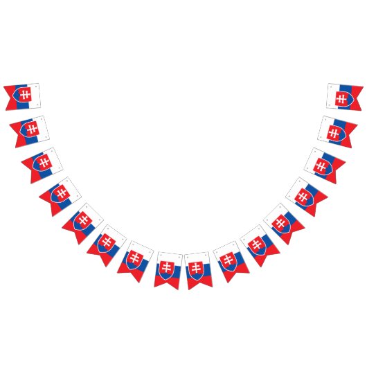 Drapeau Slovaquie (Tout)