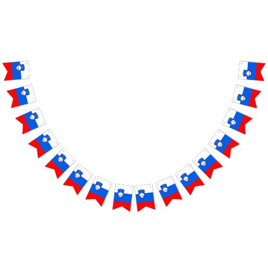 Drapeau Slovénie (Tout)