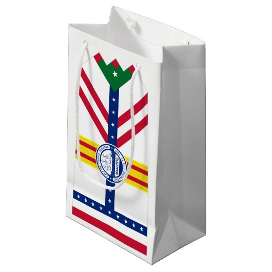 Drapeau Tampa, Floride Petit sac cadeau (Devant Angle)