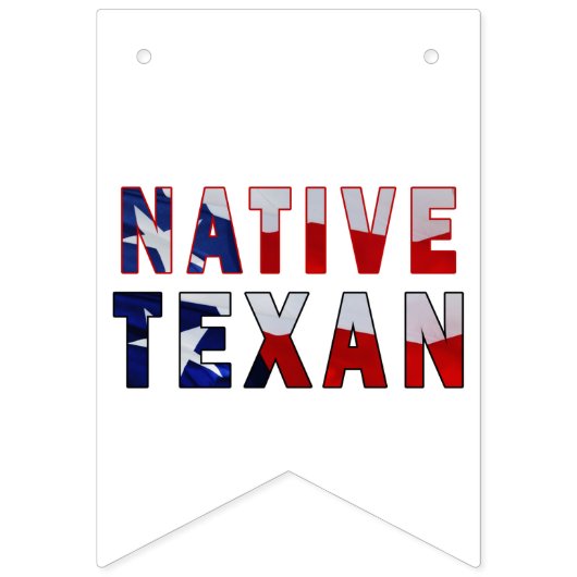 Drapeau texan natif (Deuxième drapeau)