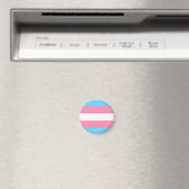 drapeau trans sur aimant (In Situ (Lave-vaisselle))