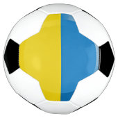 Drapeau ukrainien (Tourné)