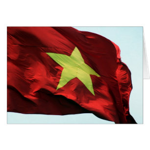 drapeau vietnam