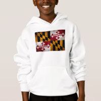 Drapeau vintage patiné d'état du Maryland