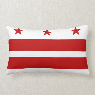 Drapeau Washington D.C., Coussin du drapeau de l'É