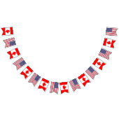 Drapeaux canadiens américains, bannières de partis (Tout)