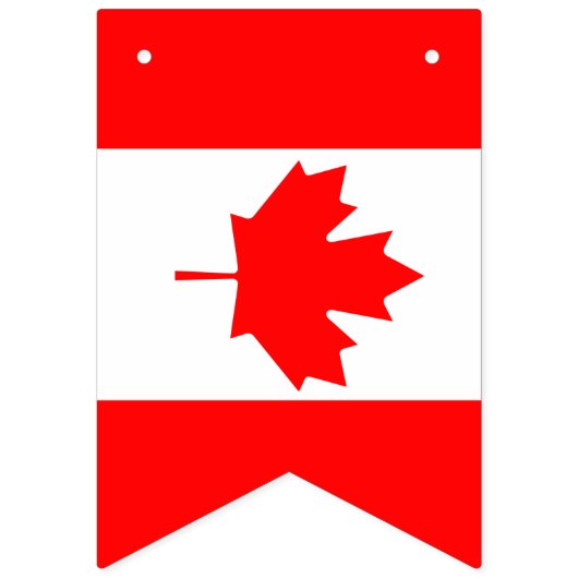 Drapeaux canadiens américains, bannières de partis (Premier drapeau)