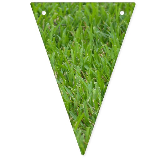 Drapeaux centraux d'étamine d'herbe et de gazon (Deuxième drapeau)