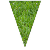 Drapeaux centraux d'étamine d'herbe et de gazon (Premier drapeau)