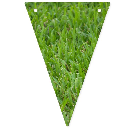 Drapeaux centraux d'étamine d'herbe et de gazon (Premier drapeau)