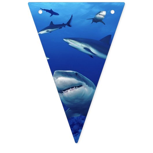 Drapeaux de bannières requins (Deuxième drapeau)