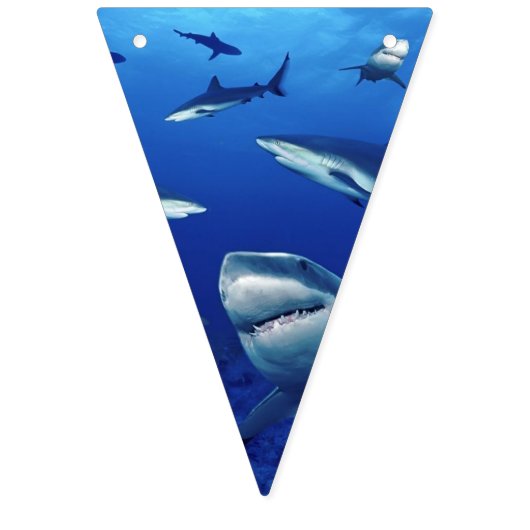 Drapeaux de bannières requins (Premier drapeau)