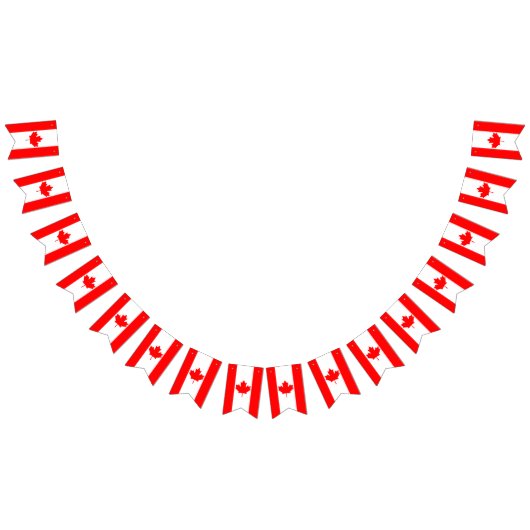 Drapeaux de bottes du Canada, bannières de la fête (Tout)