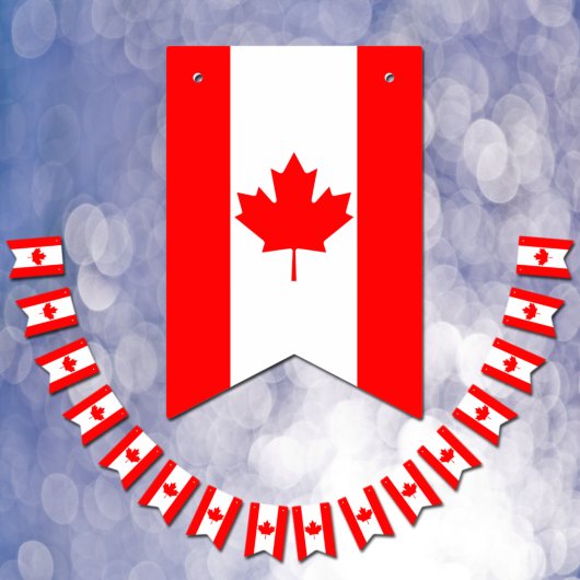 Drapeaux de bottes du Canada, bannières de la fête