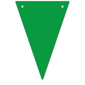 Drapeaux de Bunting de décorations éthiopiennes (Premier drapeau)