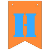 Drapeaux de Bunting de fête d'anniversaire multico (Deuxième drapeau)