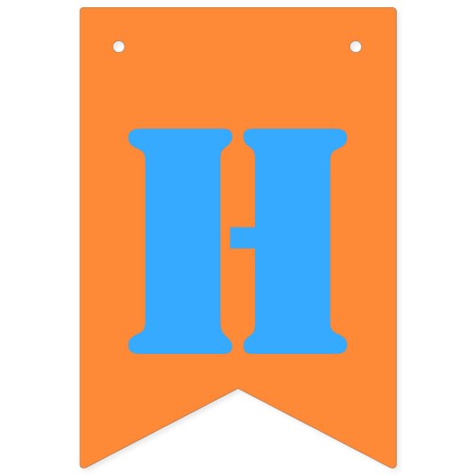 Drapeaux de Bunting de fête d'anniversaire multico (Deuxième drapeau)