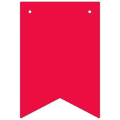 Drapeaux de Bunting de fête d'anniversaire multico (Premier drapeau)