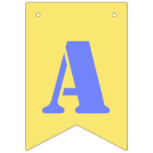 Drapeaux de Bunting de fête d'anniversaire multico (Troisième drapeau)