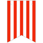 Drapeaux de Bunting de partie du docteur (Deuxième drapeau)