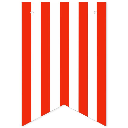 Drapeaux de Bunting de partie du docteur (Deuxième drapeau)