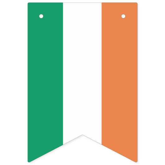 Drapeaux de Bunting Irlandais - Montrez votre fier (Deuxième drapeau)