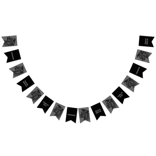 Drapeaux de Bunting Party de graduation (Tout)