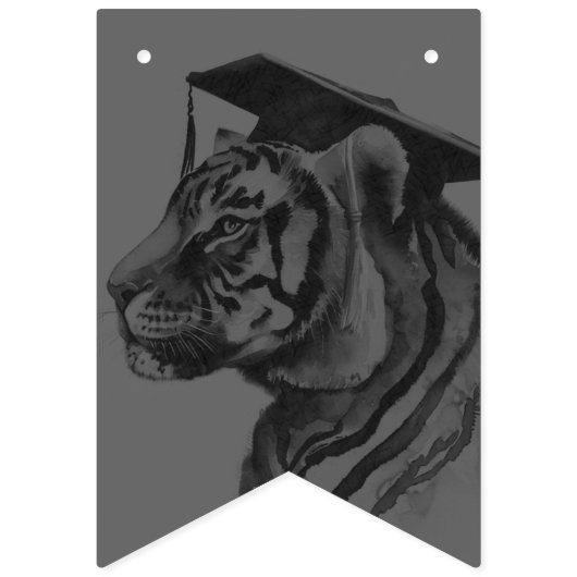 Drapeaux de Bunting Party de graduation (Troisième drapeau)